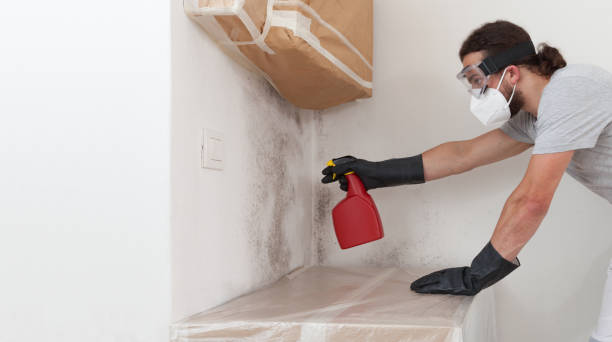 Professional Mold Testing technician working in Columbia, IL